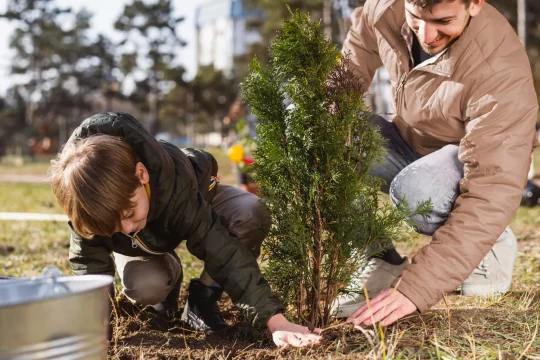 Pohon Penyerap Polusi Udara Yang Wajib Kamu Tanam!!